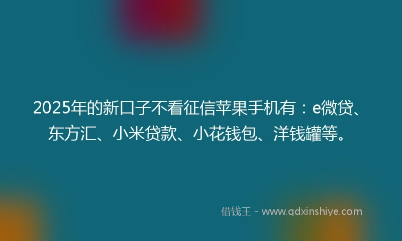 2025年的新口子不看征信苹果手机有：e微贷、东方汇、小米贷款、小花钱包、洋钱罐等。