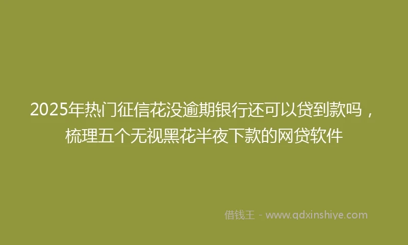 2025年热门征信花没逾期银行还可以贷到款吗，梳理五个无视黑花半夜下款的网贷软件