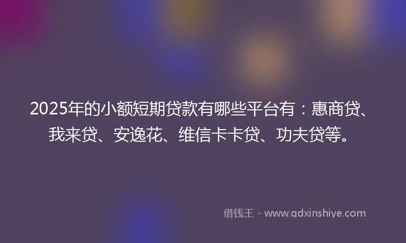 2025年的小额短期贷款有哪些平台有：惠商贷、我来贷、安逸花、维信卡卡贷、功夫贷等。