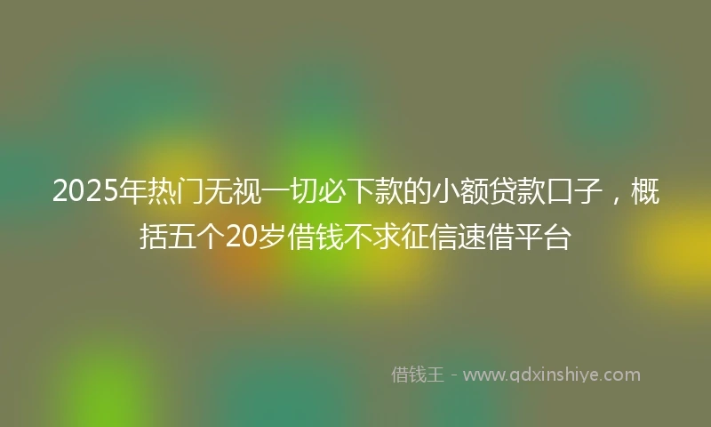 2025年热门无视一切必下款的小额贷款口子，概括五个20岁借钱不求征信速借平台