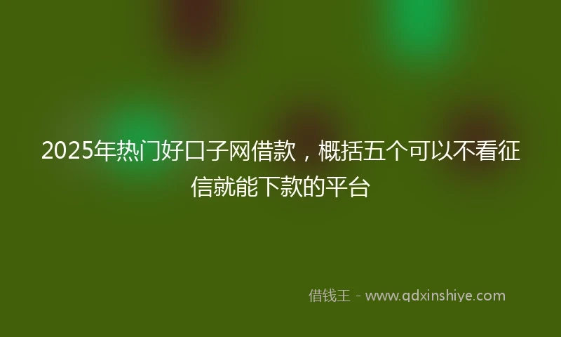 2025年热门好口子网借款，概括五个可以不看征信就能下款的平台