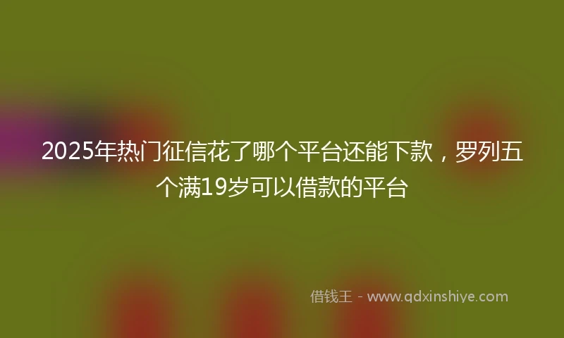2025年热门征信花了哪个平台还能下款，罗列五个满19岁可以借款的平台