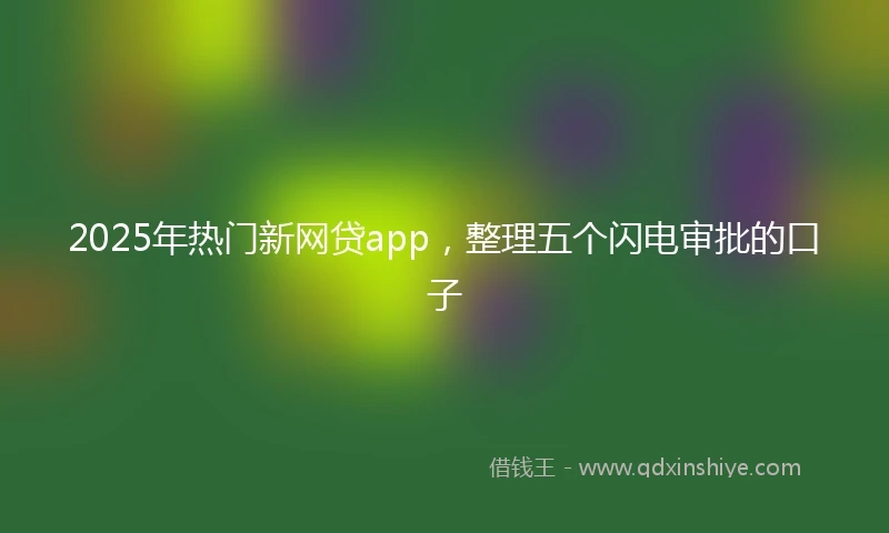 2025年热门新网贷app，整理五个闪电审批的口子