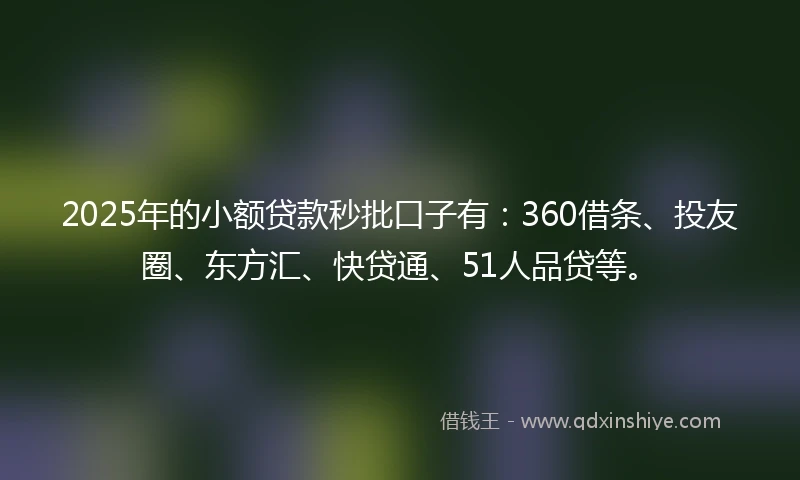 2025年的小额贷款秒批口子有：360借条、投友圈、东方汇、快贷通、51人品贷等。