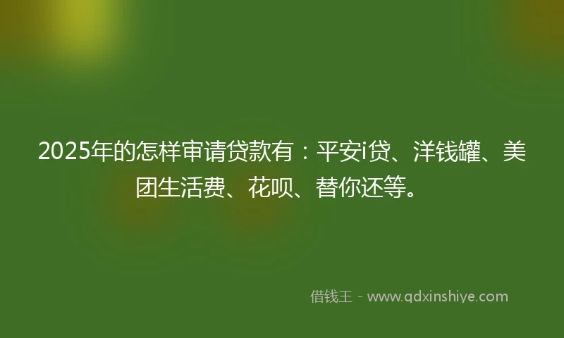 2025年的怎样审请贷款有：平安i贷、洋钱罐、美团生活费、花呗、替你还等。