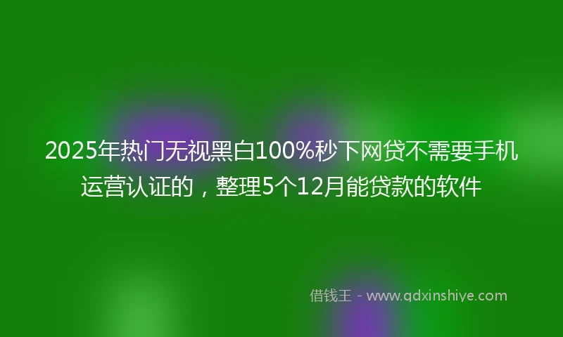 2025年热门无视黑白100%秒下网贷不需要手机运营认证的，整理5个12月能贷款的软件