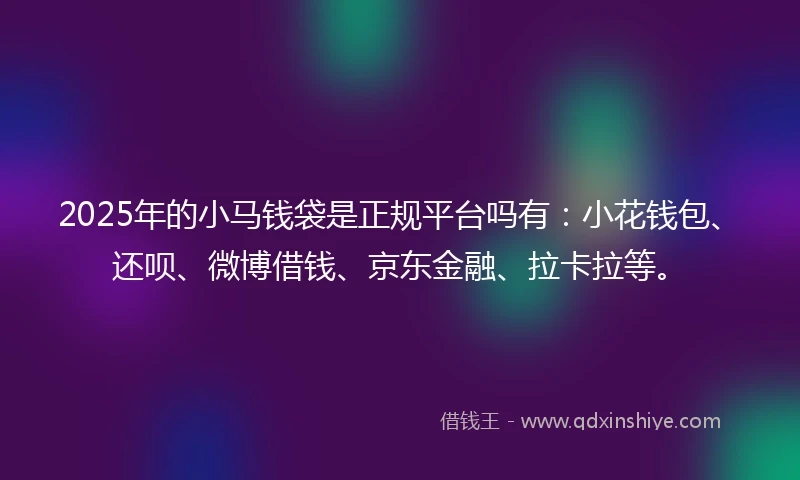 2025年的小马钱袋是正规平台吗有：小花钱包、还呗、微博借钱、京东金融、拉卡拉等。