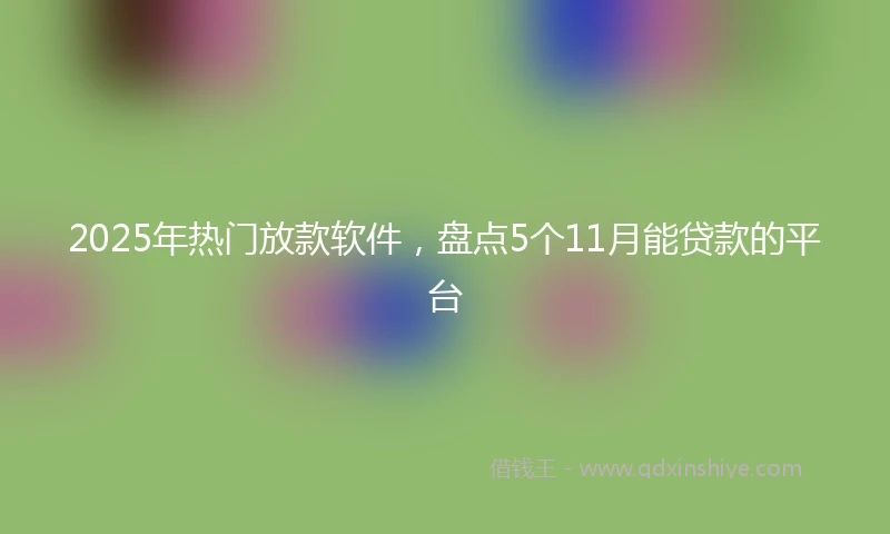 2025年热门放款软件，盘点5个11月能贷款的平台