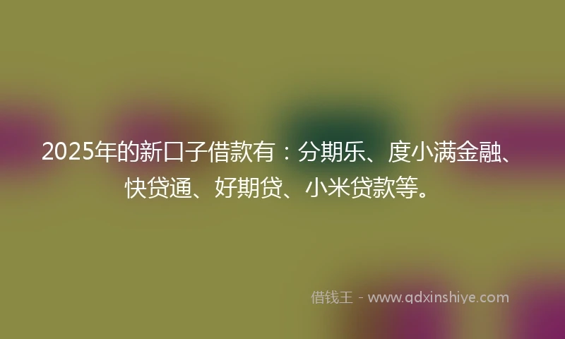 2025年的新口子借款有：分期乐、度小满金融、快贷通、好期贷、小米贷款等。
