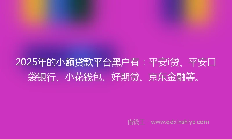 2025年的小额贷款平台黑户有：平安i贷、平安口袋银行、小花钱包、好期贷、京东金融等。
