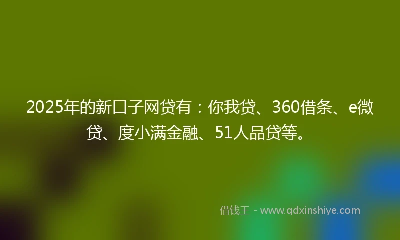 2025年的新口子网贷有：你我贷、360借条、e微贷、度小满金融、51人品贷等。