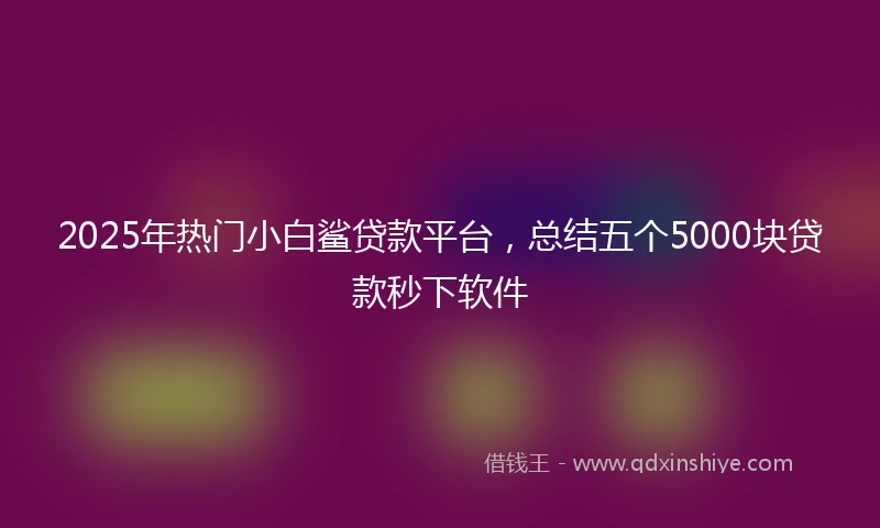 2025年热门小白鲨贷款平台，总结五个5000块贷款秒下软件