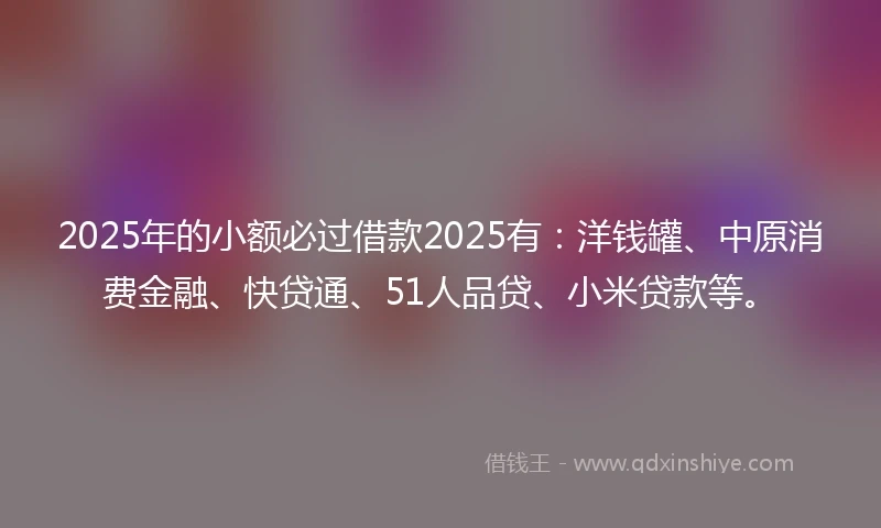 2025年的小额必过借款2025有：洋钱罐、中原消费金融、快贷通、51人品贷、小米贷款等。