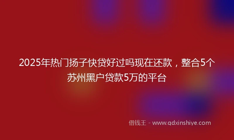 2025年热门扬子快贷好过吗现在还款，整合5个苏州黑户贷款5万的平台