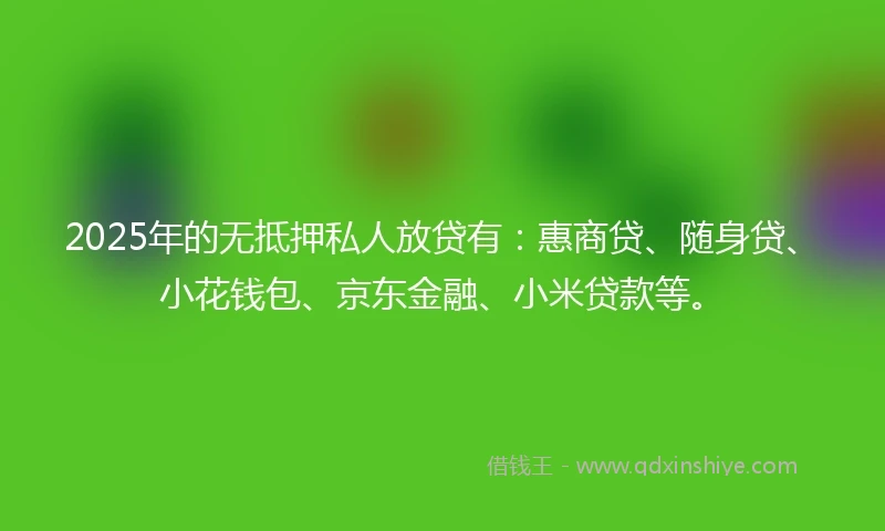2025年的无抵押私人放贷有：惠商贷、随身贷、小花钱包、京东金融、小米贷款等。