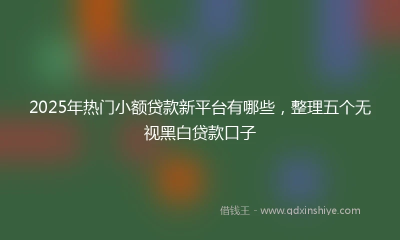 2025年热门小额贷款新平台有哪些，整理五个无视黑白贷款口子