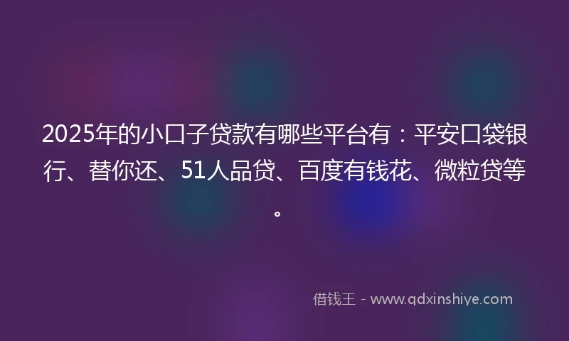 2025年的小口子贷款有哪些平台有：平安口袋银行、替你还、51人品贷、百度有钱花、微粒贷等。