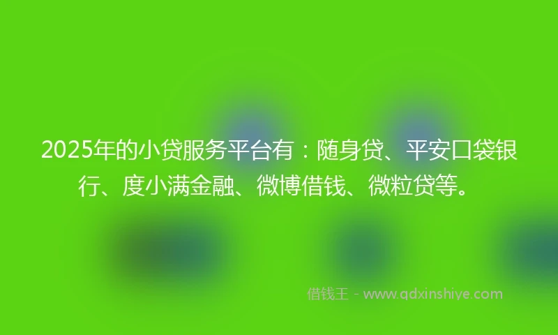 2025年的小贷服务平台有：随身贷、平安口袋银行、度小满金融、微博借钱、微粒贷等。