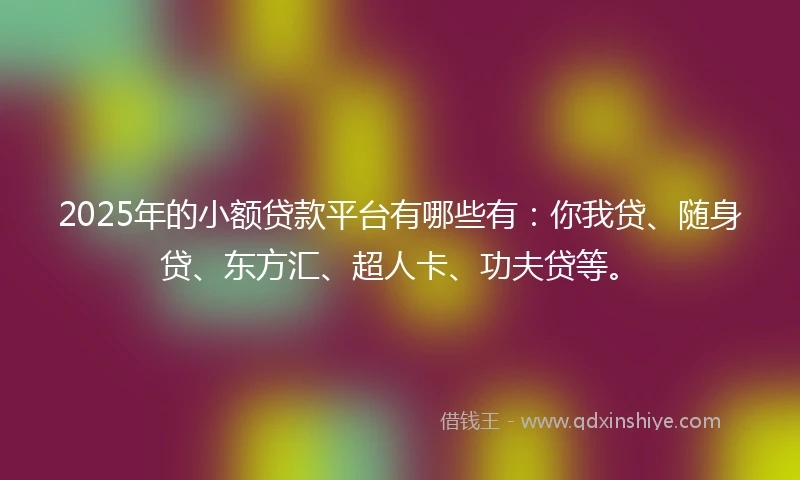 2025年的小额贷款平台有哪些有：你我贷、随身贷、东方汇、超人卡、功夫贷等。