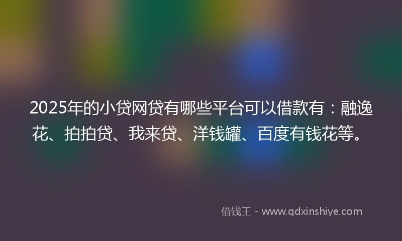 2025年的小贷网贷有哪些平台可以借款有：融逸花、拍拍贷、我来贷、洋钱罐、百度有钱花等。