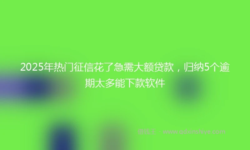 2025年热门征信花了急需大额贷款，归纳5个逾期太多能下款软件