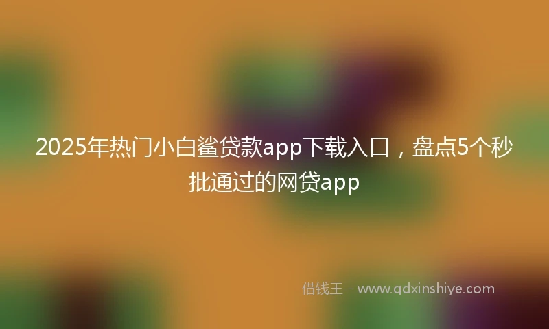 2025年热门小白鲨贷款app下载入口，盘点5个秒批通过的网贷app