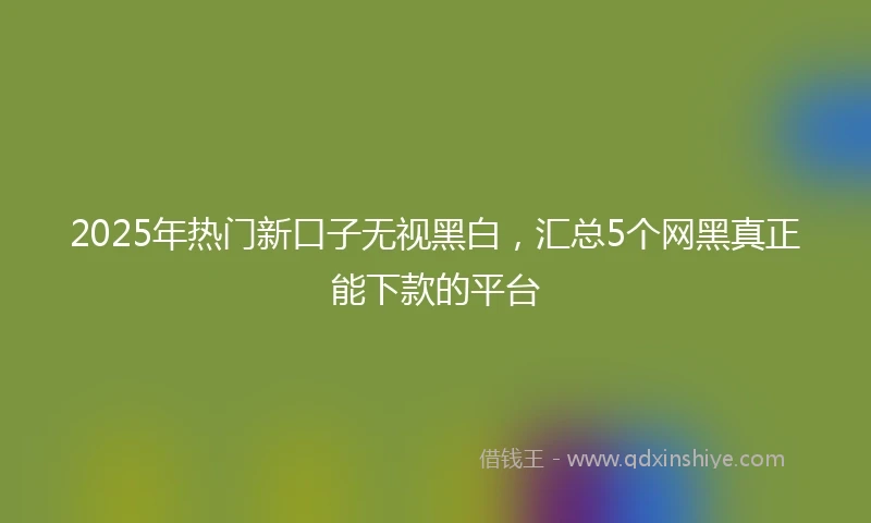 2025年热门新口子无视黑白，汇总5个网黑真正能下款的平台