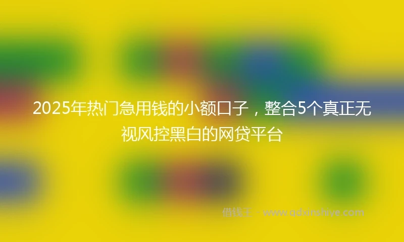 2025年热门急用钱的小额口子，整合5个真正无视风控黑白的网贷平台