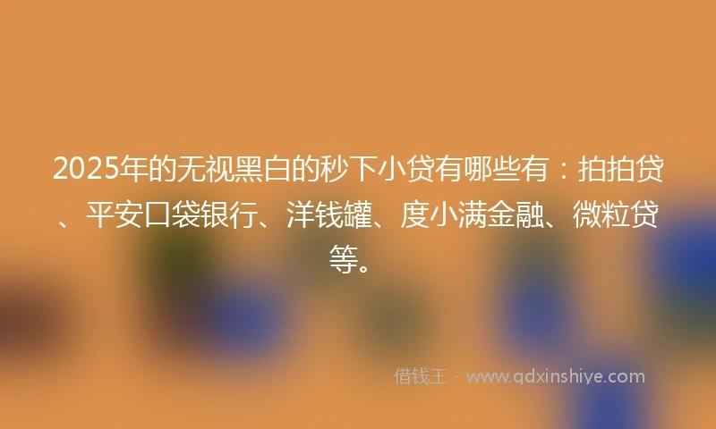 2025年的无视黑白的秒下小贷有哪些有：拍拍贷、平安口袋银行、洋钱罐、度小满金融、微粒贷等。