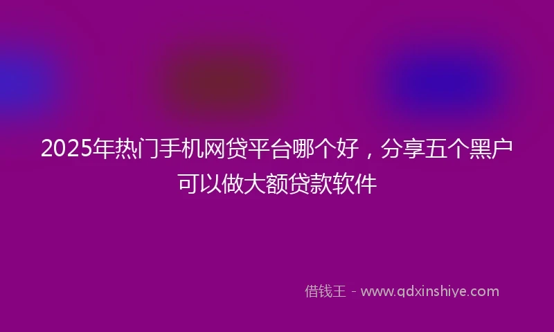 2025年热门手机网贷平台哪个好，分享五个黑户可以做大额贷款软件