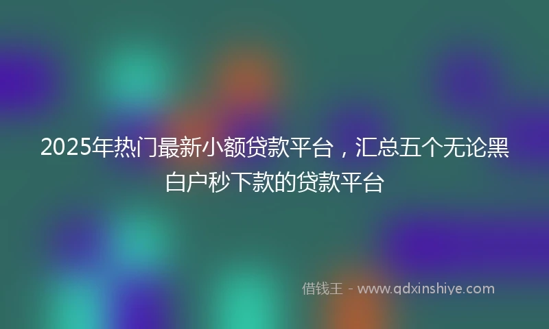 2025年热门最新小额贷款平台，汇总五个无论黑白户秒下款的贷款平台