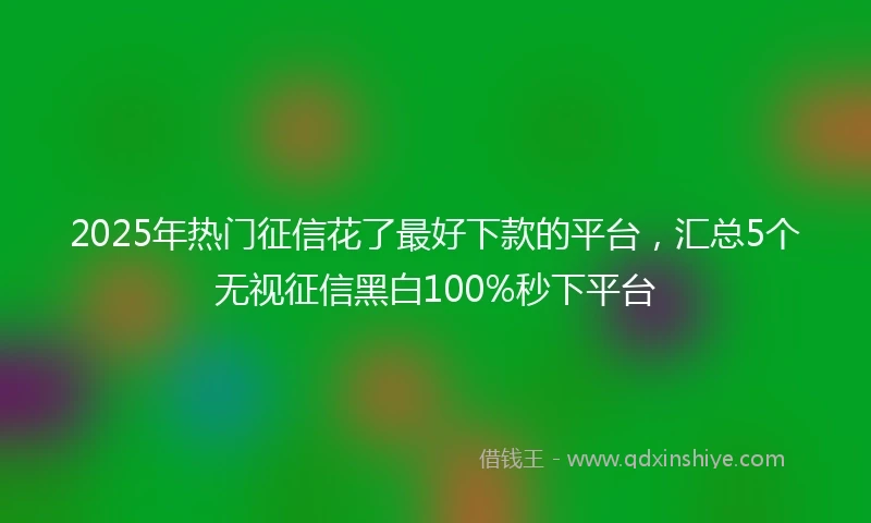 2025年热门征信花了最好下款的平台，汇总5个无视征信黑白100%秒下平台