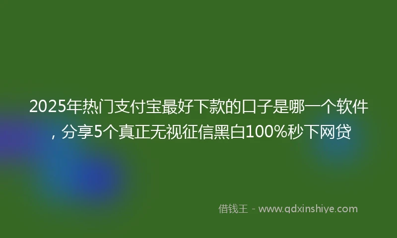 2025年热门支付宝最好下款的口子是哪一个软件，分享5个真正无视征信黑白100%秒下网贷