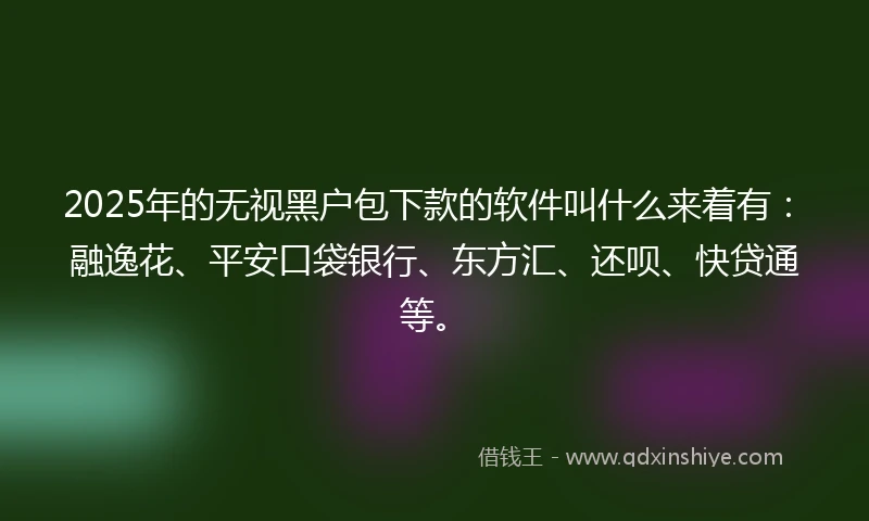 2025年的无视黑户包下款的软件叫什么来着有：融逸花、平安口袋银行、东方汇、还呗、快贷通等。