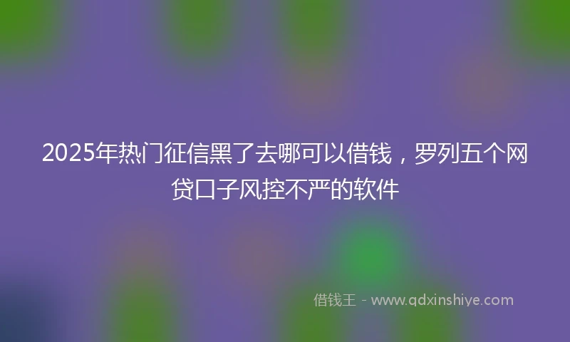 2025年热门征信黑了去哪可以借钱，罗列五个网贷口子风控不严的软件