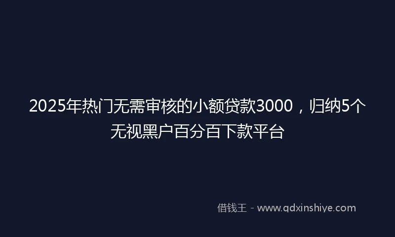 2025年热门无需审核的小额贷款3000，归纳5个无视黑户百分百下款平台