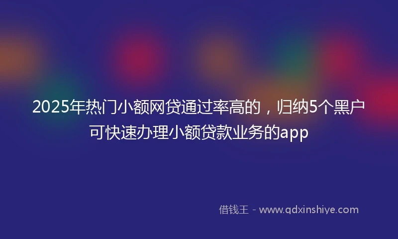 2025年热门小额网贷通过率高的，归纳5个黑户可快速办理小额贷款业务的app
