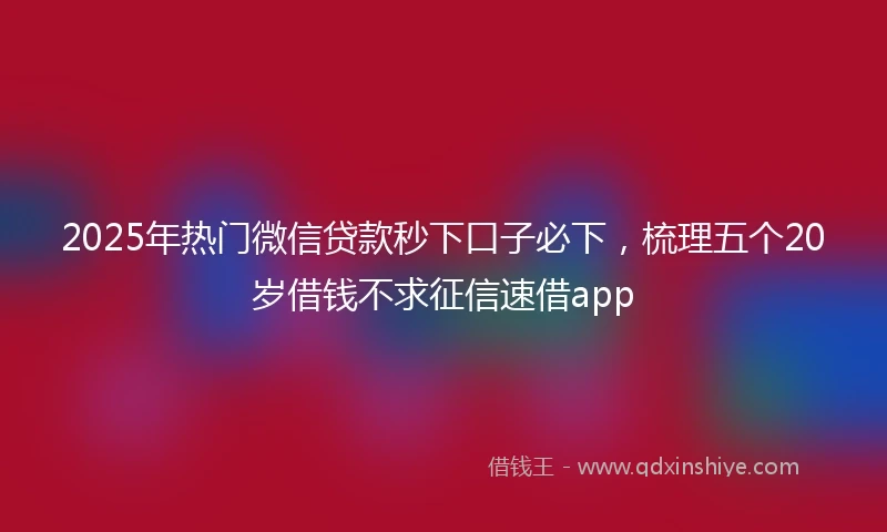 2025年热门微信贷款秒下口子必下，梳理五个20岁借钱不求征信速借app