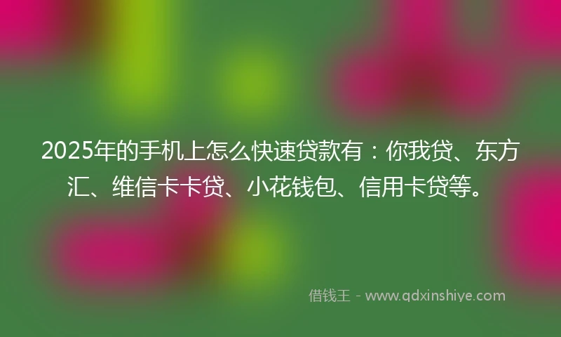 2025年的手机上怎么快速贷款有：你我贷、东方汇、维信卡卡贷、小花钱包、信用卡贷等。