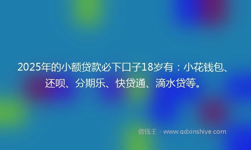 2025年的小额贷款必下口子18岁有：小花钱包、还呗、分期乐、快贷通、滴水贷等。