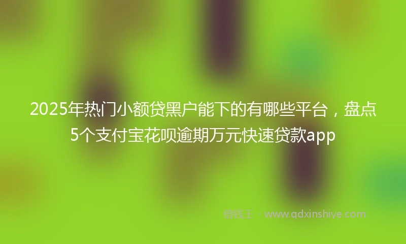 2025年热门小额贷黑户能下的有哪些平台，盘点5个支付宝花呗逾期万元快速贷款app