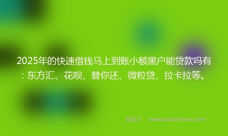 2025年的快速借钱马上到账小额黑户能贷款吗有：东方汇、花呗、替你还、微粒贷、拉卡拉等。