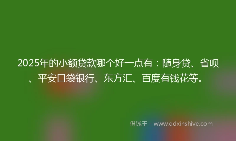 2025年的小额贷款哪个好一点有：随身贷、省呗、平安口袋银行、东方汇、百度有钱花等。