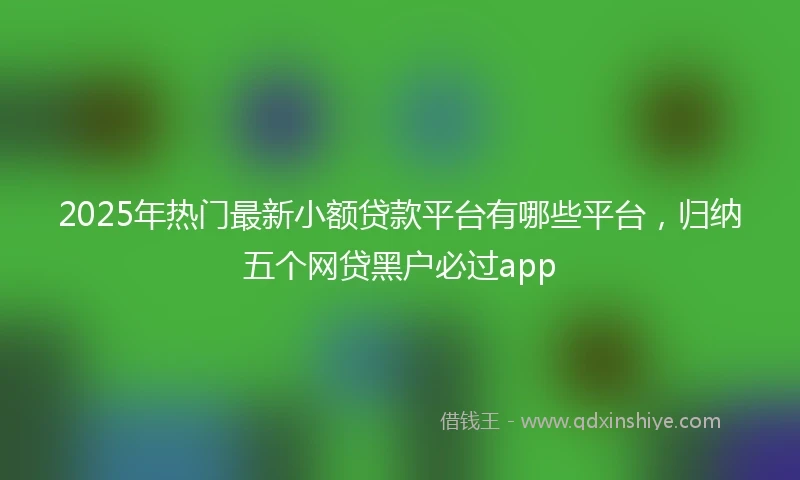 2025年热门最新小额贷款平台有哪些平台，归纳五个网贷黑户必过app