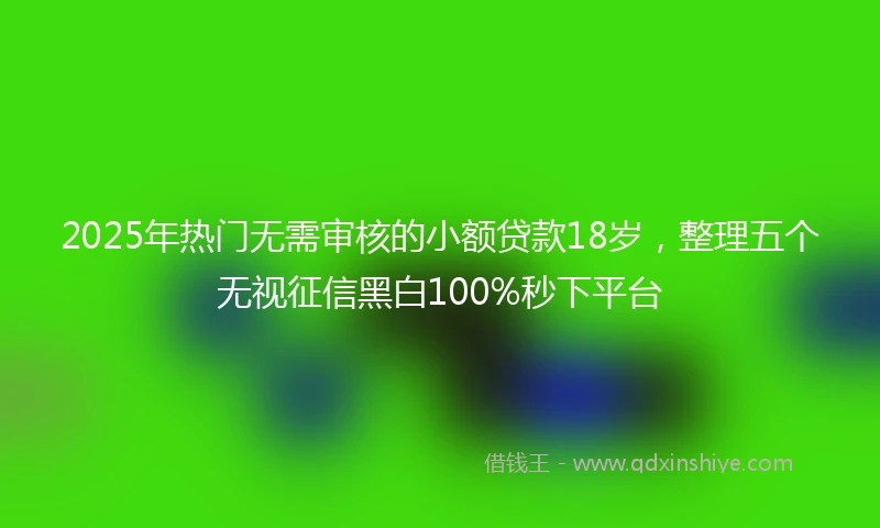 2025年热门无需审核的小额贷款18岁，整理五个无视征信黑白100%秒下平台