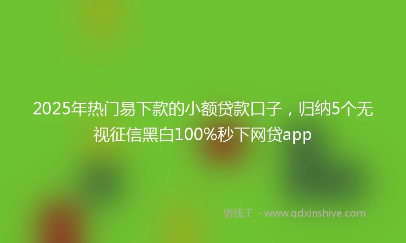 2025年热门易下款的小额贷款口子，归纳5个无视征信黑白100%秒下网贷app