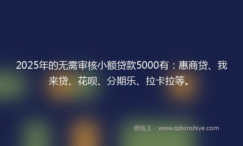 2025年的无需审核小额贷款5000有：惠商贷、我来贷、花呗、分期乐、拉卡拉等。