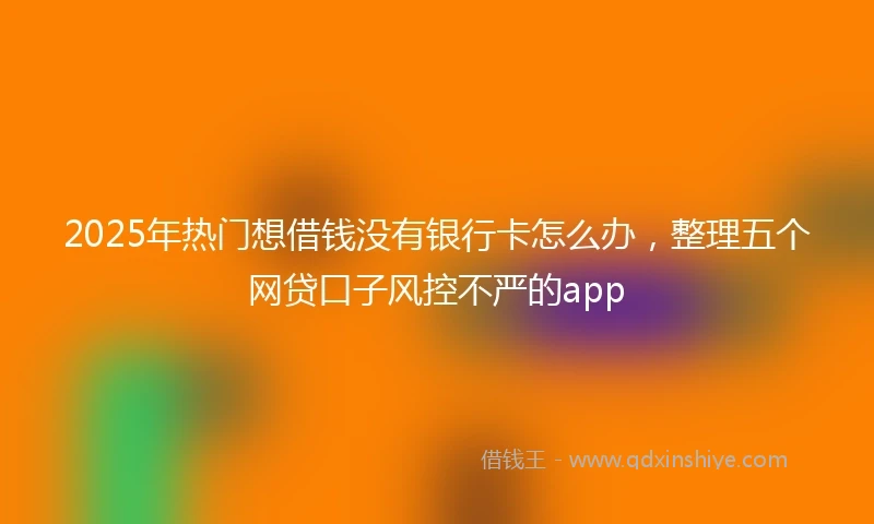 2025年热门想借钱没有银行卡怎么办，整理五个网贷口子风控不严的app