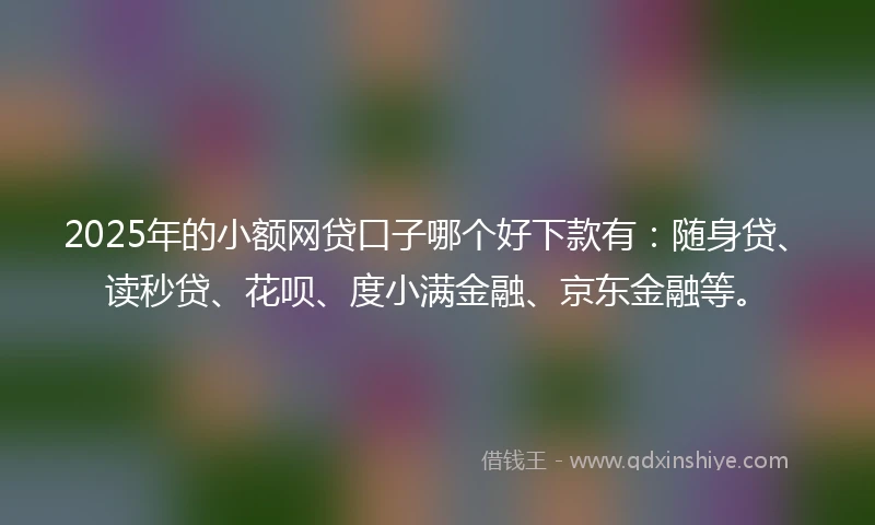 2025年的小额网贷口子哪个好下款有：随身贷、读秒贷、花呗、度小满金融、京东金融等。
