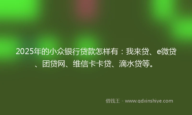 2025年的小众银行贷款怎样有：我来贷、e微贷、团贷网、维信卡卡贷、滴水贷等。